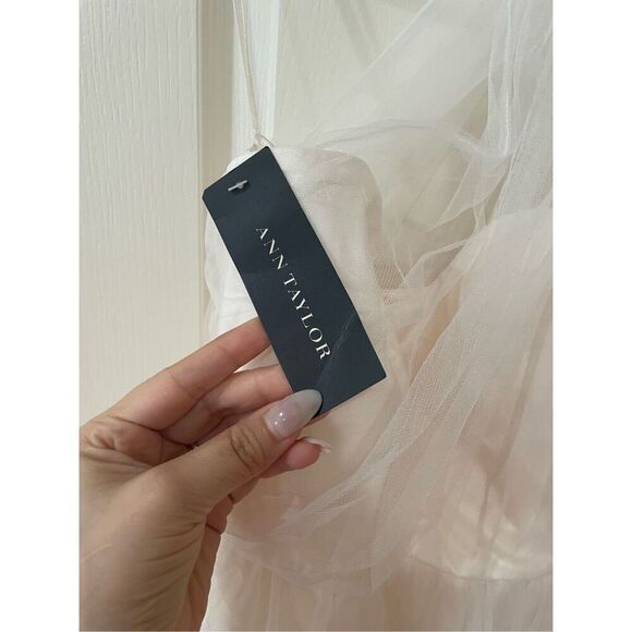 NWT Ann Taylor Tulle Dress size 2 - Picture 2 of 7